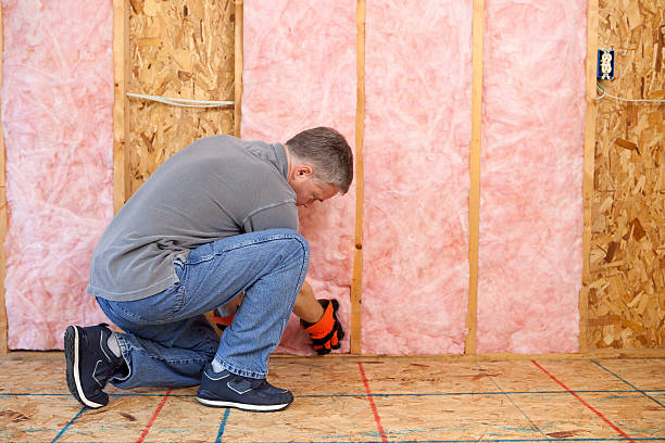 Best Commercial Insulation in Farmersville, TX